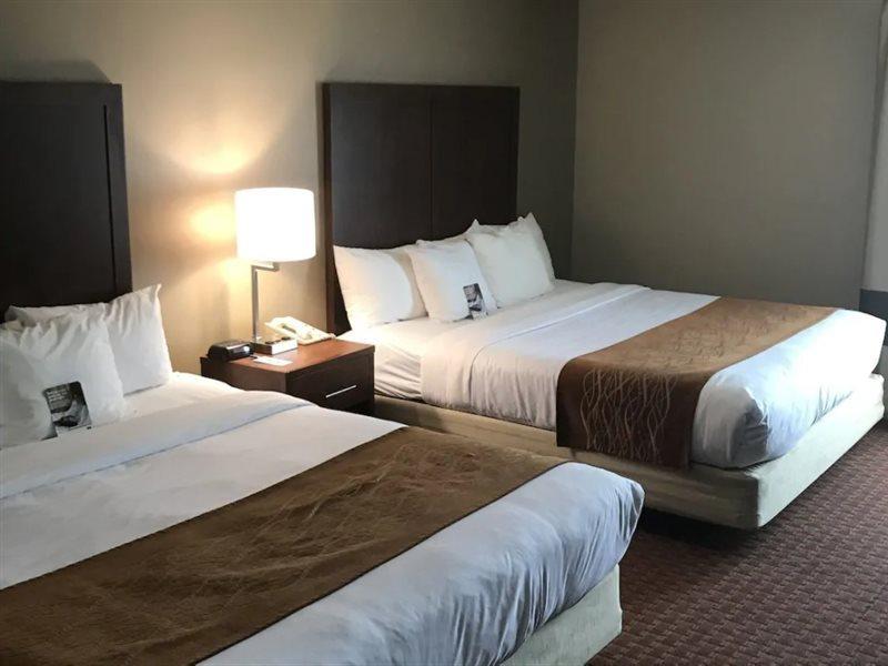 Comfort Inn Silicon Valley East Fremont Exteriér fotografie