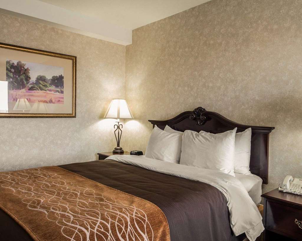Comfort Inn Silicon Valley East Fremont Pokoj fotografie