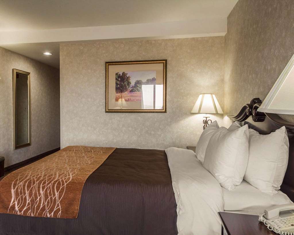 Comfort Inn Silicon Valley East Fremont Pokoj fotografie