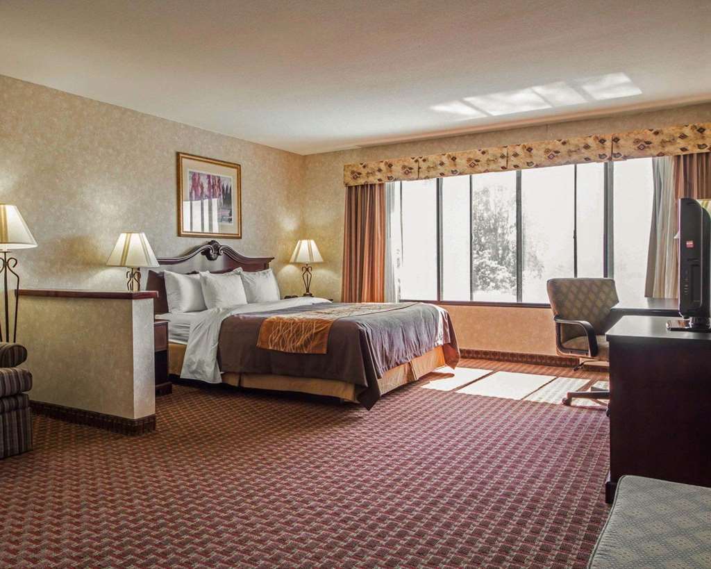 Comfort Inn Silicon Valley East Fremont Pokoj fotografie