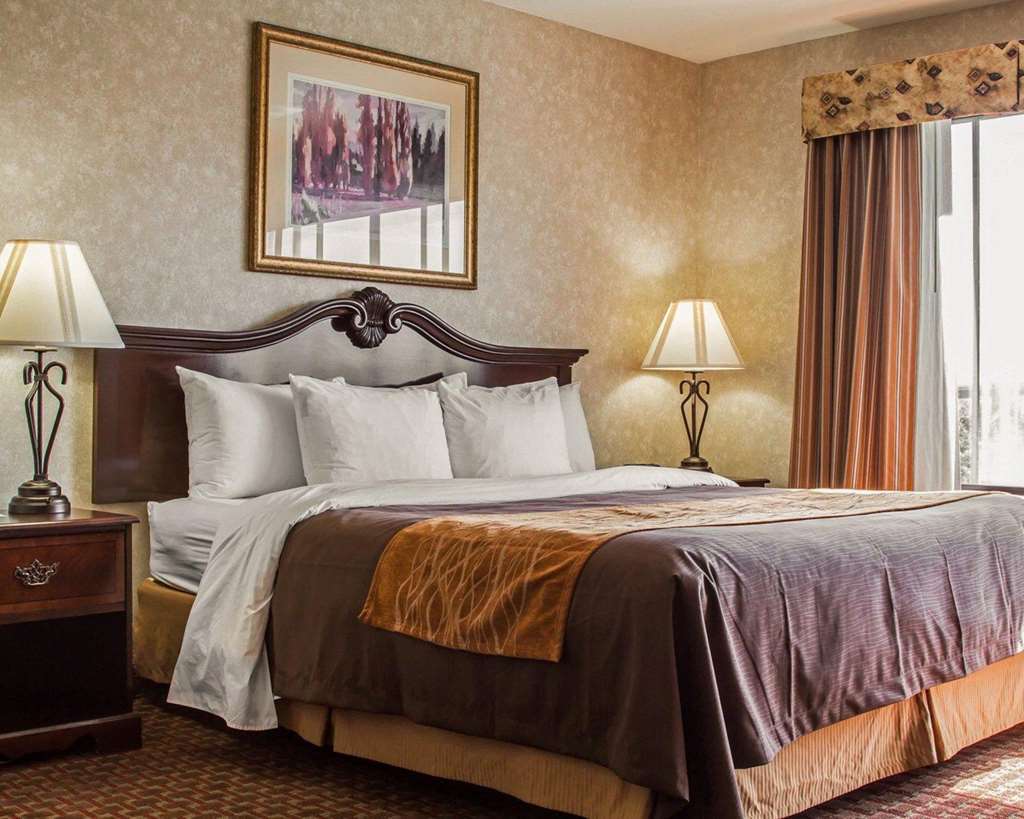 Comfort Inn Silicon Valley East Fremont Pokoj fotografie